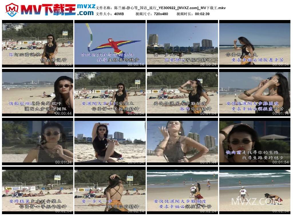 陈兰丽-静心等_国语_流行_YE300922